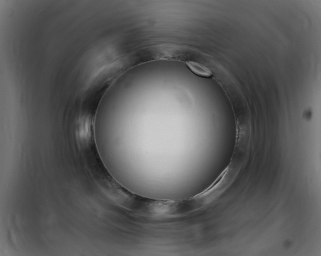 X0000101460094200807071441