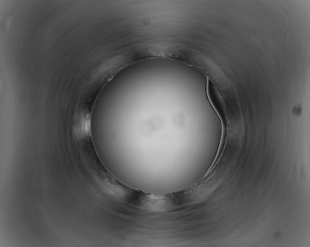 X0000101460095200807071441