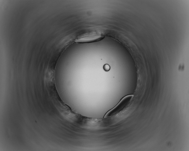 X0000101460096200807071441