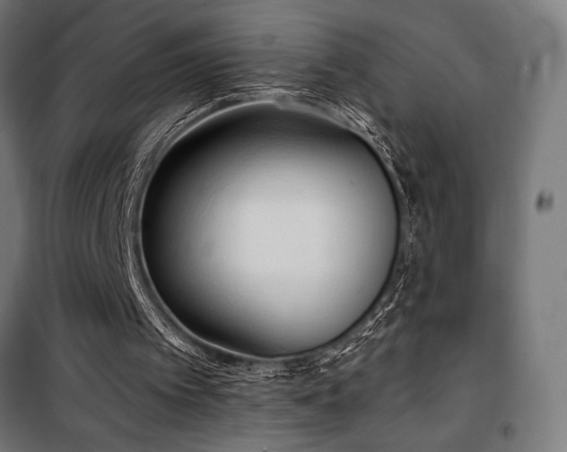 X0000101460097200807071440