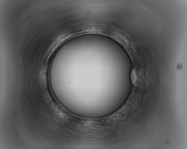 X0000101460098200807071440