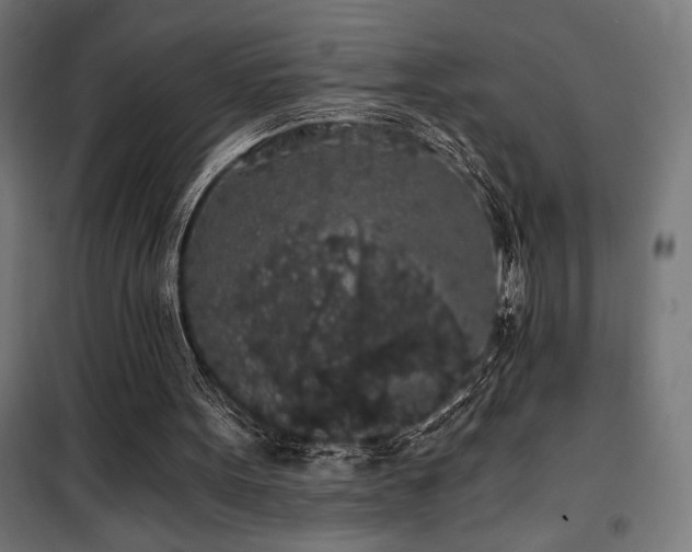 X0000101460099200807071440