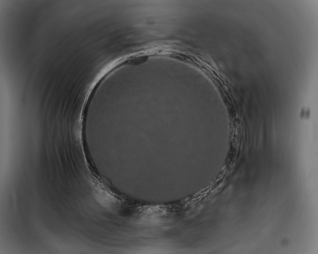 X0000101460100200807071440