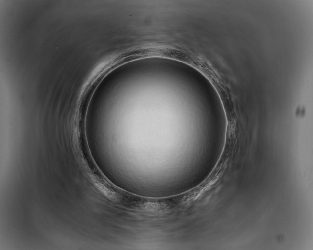 X0000101460101200807071440