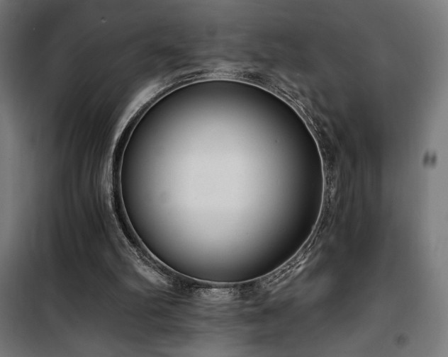 X0000101460102200807071440