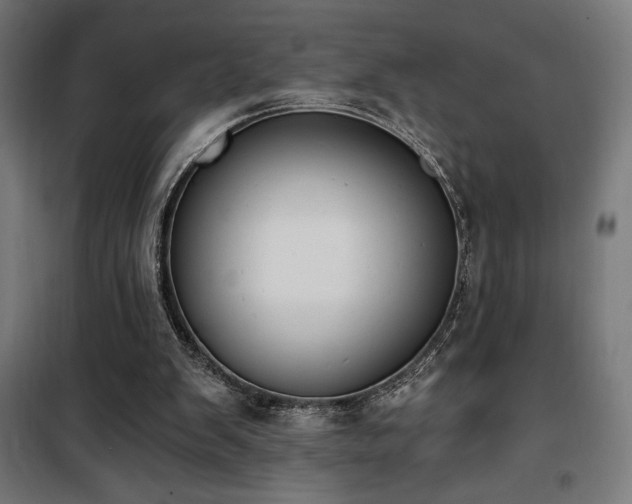 X0000101460103200807071440