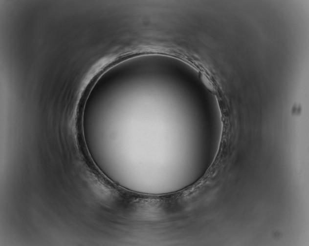 X0000101460104200807071440