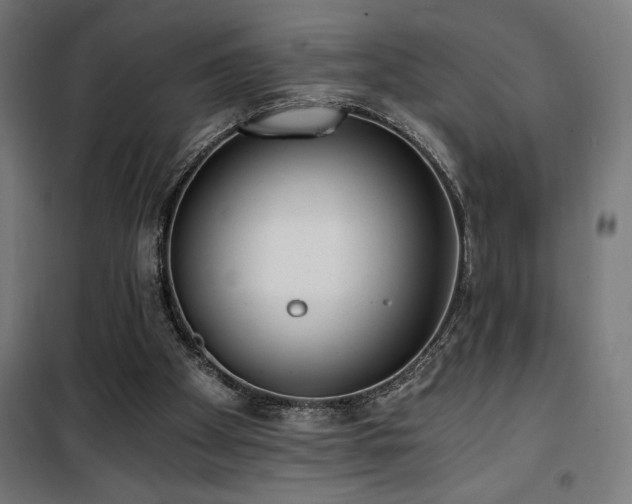 X0000101460105200807071440