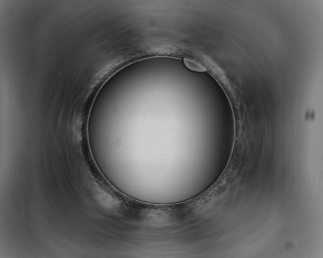 X0000101460106200807071440