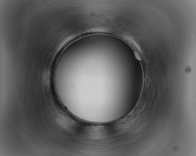X0000101460108200807071440