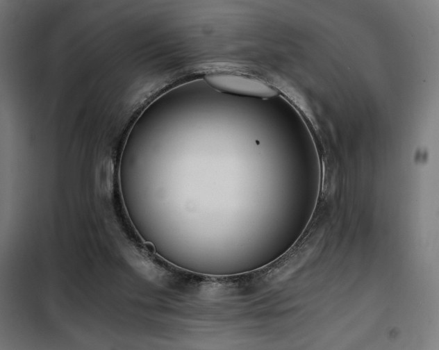 X0000101460109200807071440