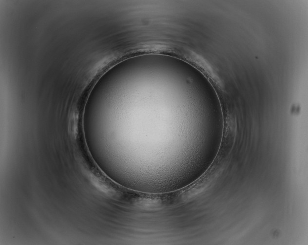 X0000101460110200807071440