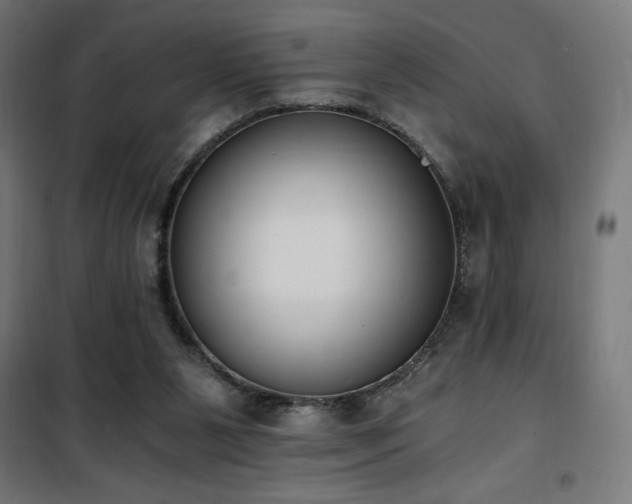 X0000101460111200807071440