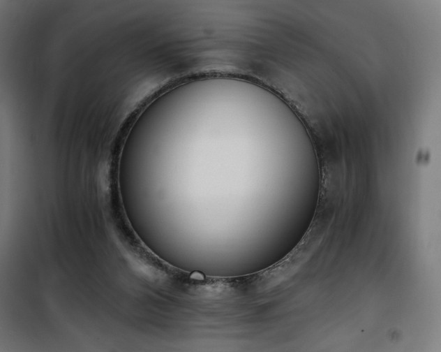 X0000101460112200807071440