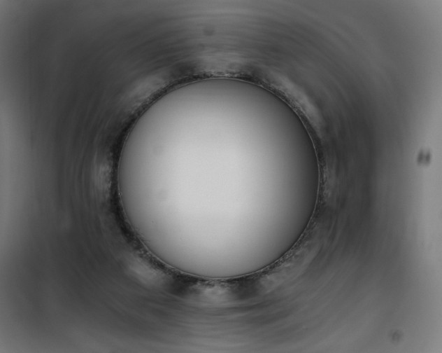 X0000101460113200807071440