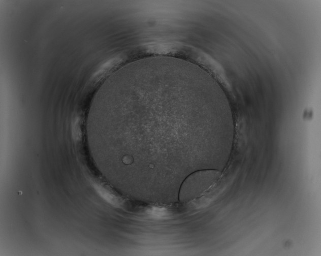 X0000101460114200807071440