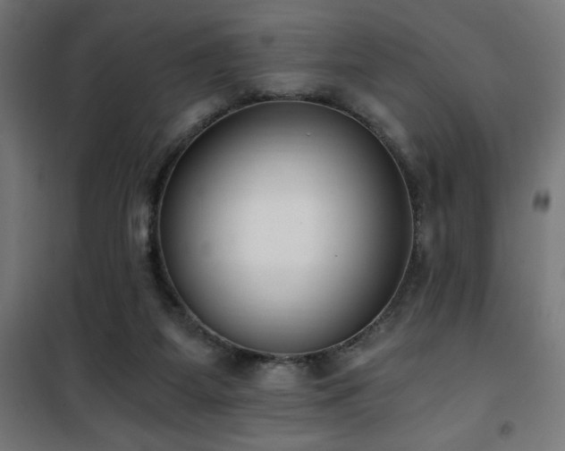 X0000101460115200807071440