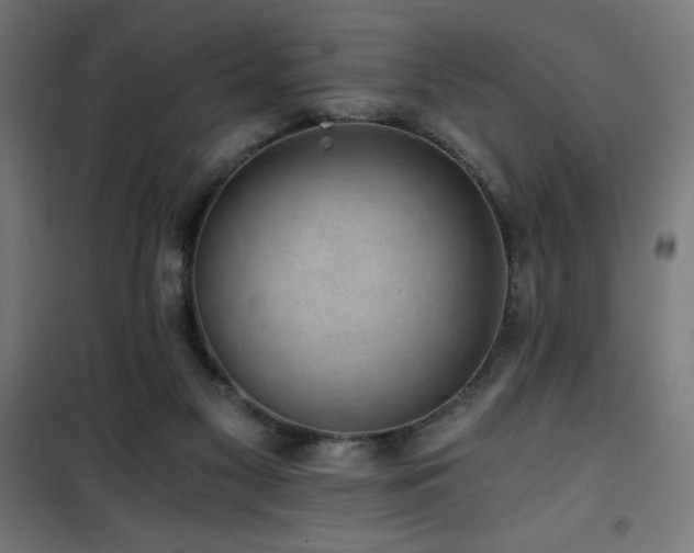 X0000101460117200807071440
