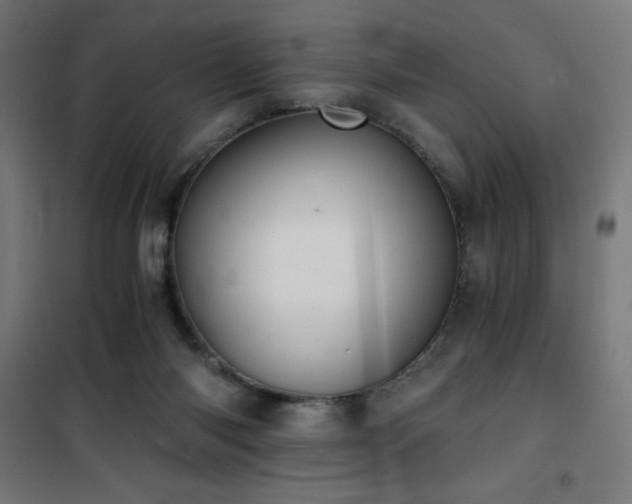 X0000101460118200807071440