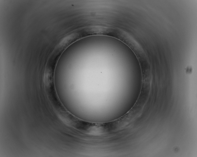 X0000101460119200807071440
