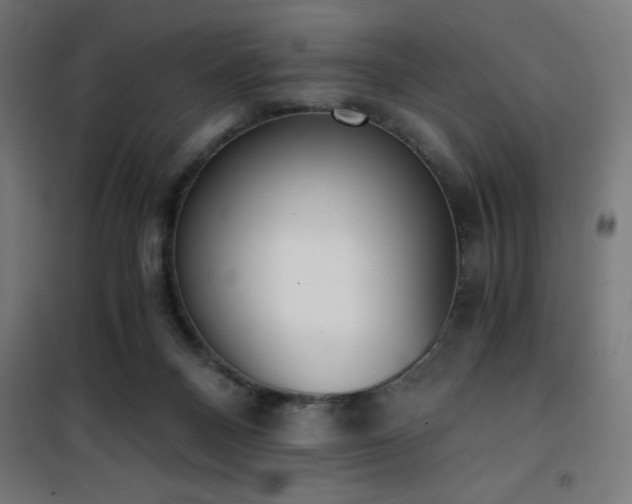 X0000101460120200807071440
