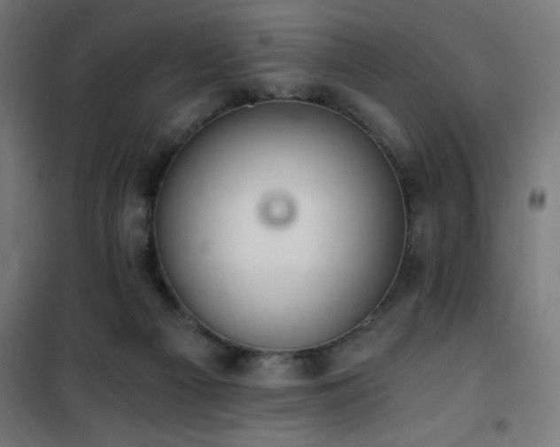 X0000101460121200807071440