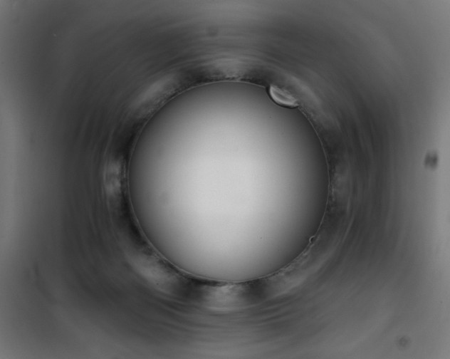 X0000101460122200807071440