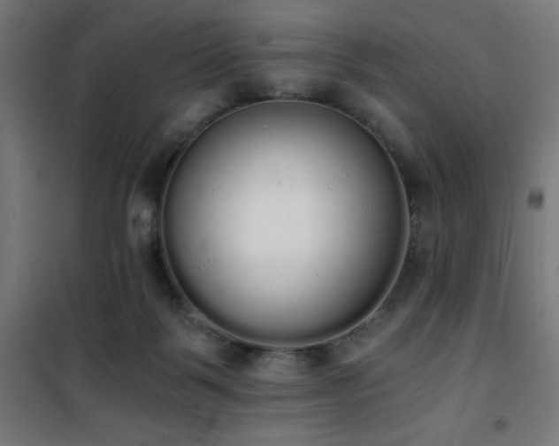 X0000101460123200807071440
