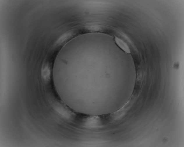 X0000101460124200807071440