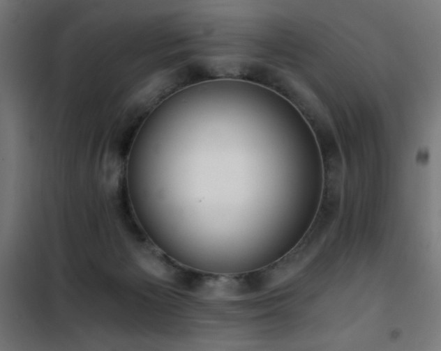 X0000101460125200807071440