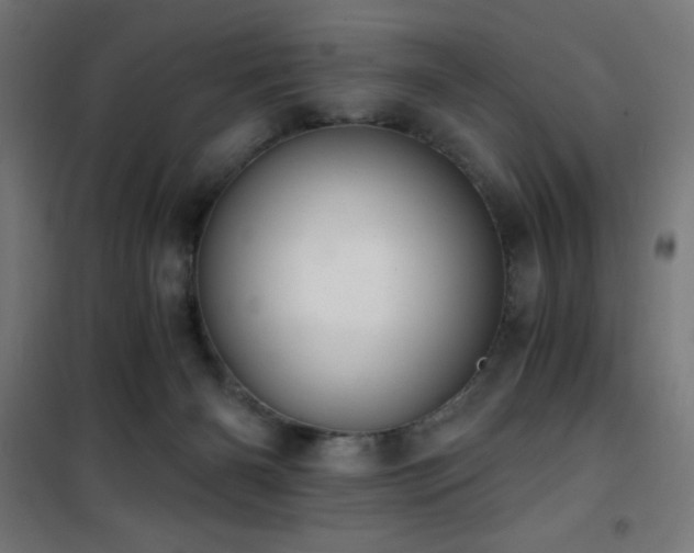 X0000101460126200807071440