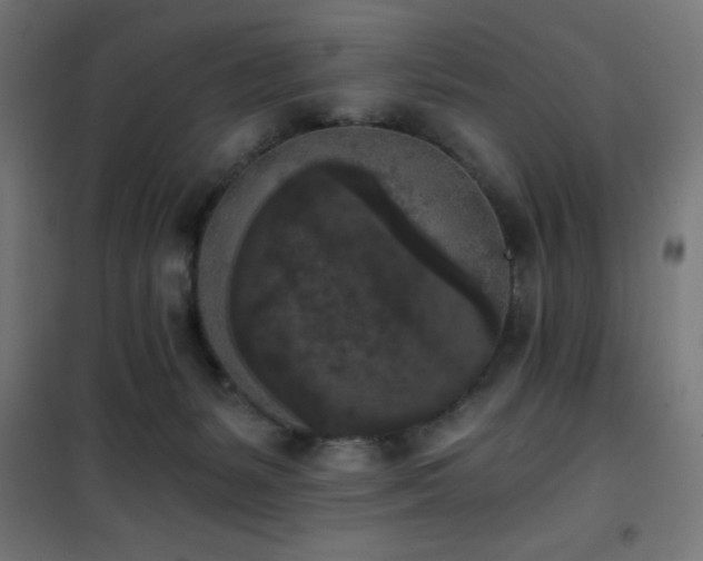 X0000101460127200807071440