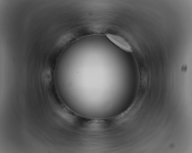 X0000101460128200807071440