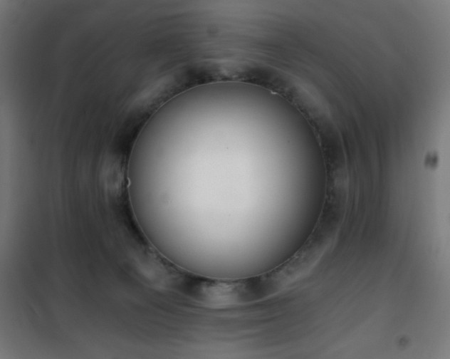 X0000101460129200807071440