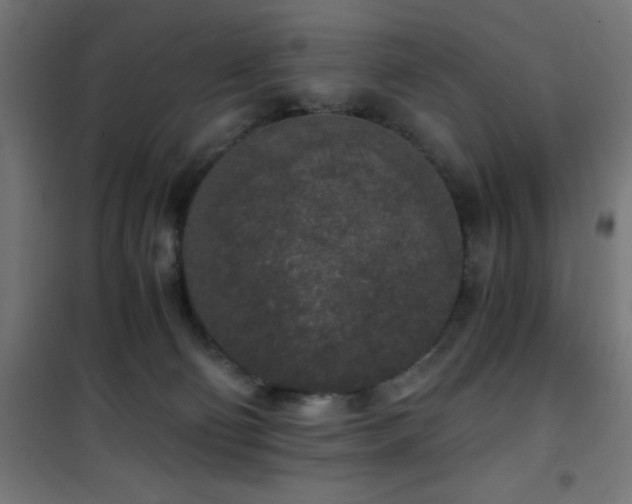 X0000101460130200807071440