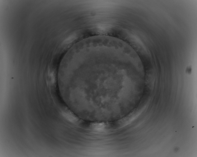 X0000101460131200807071440