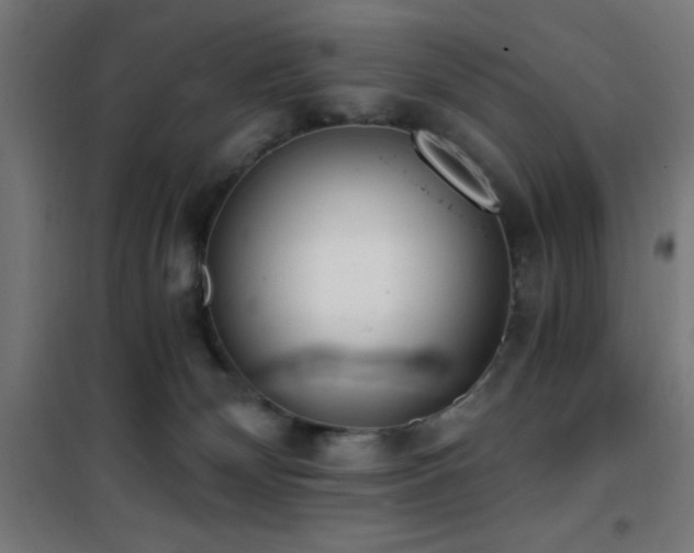 X0000101460132200807071440
