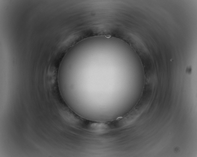 X0000101460133200807071439