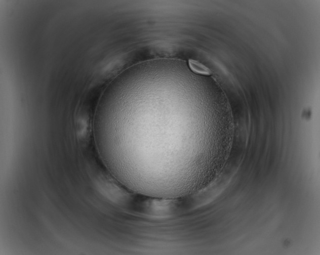 X0000101460134200807071439