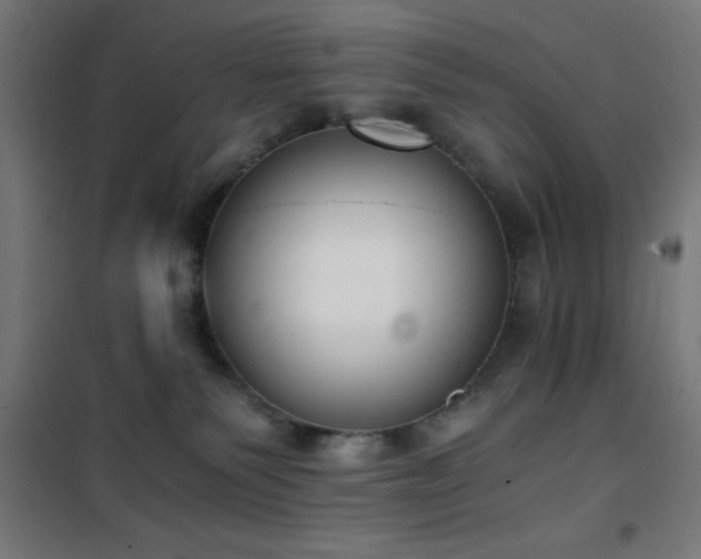 X0000101460135200807071439