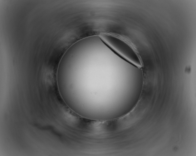 X0000101460136200807071439
