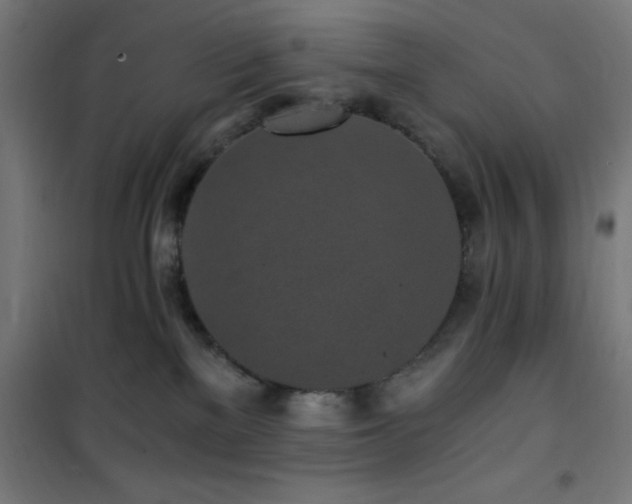X0000101460137200807071439