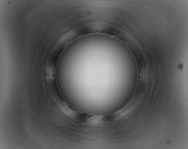 X0000101460138200807071439