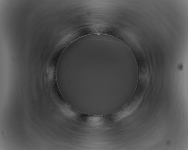 X0000101460139200807071439