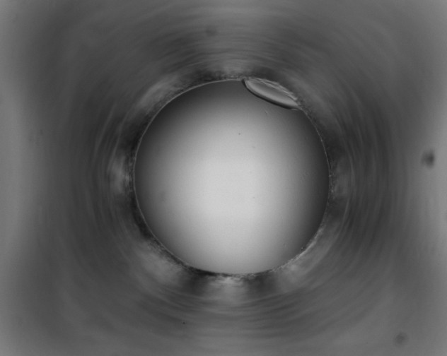 X0000101460140200807071439