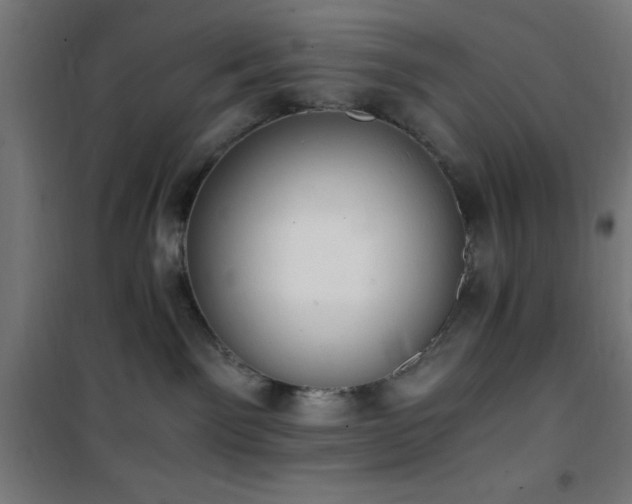 X0000101460141200807071439