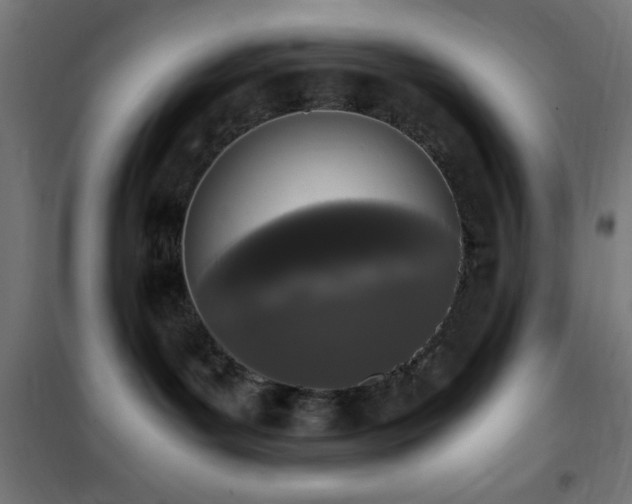 X0000101460143200807071439