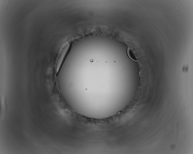 X0000101460144200807071439
