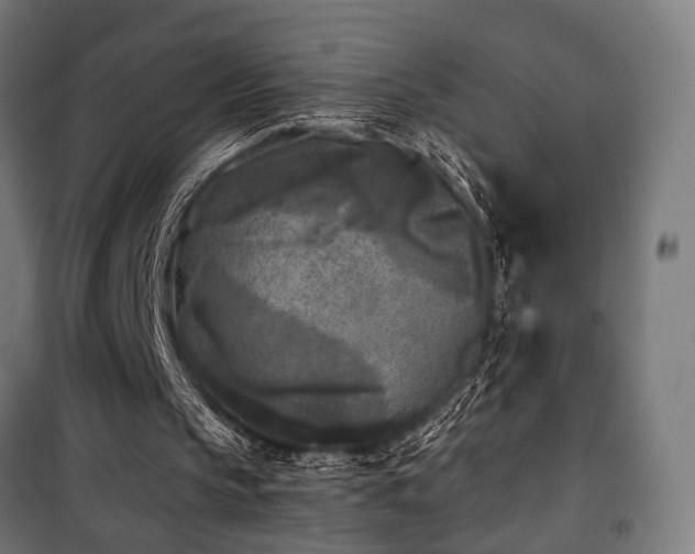 X0000101460145200807071439