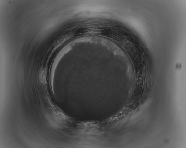 X0000101460146200807071439
